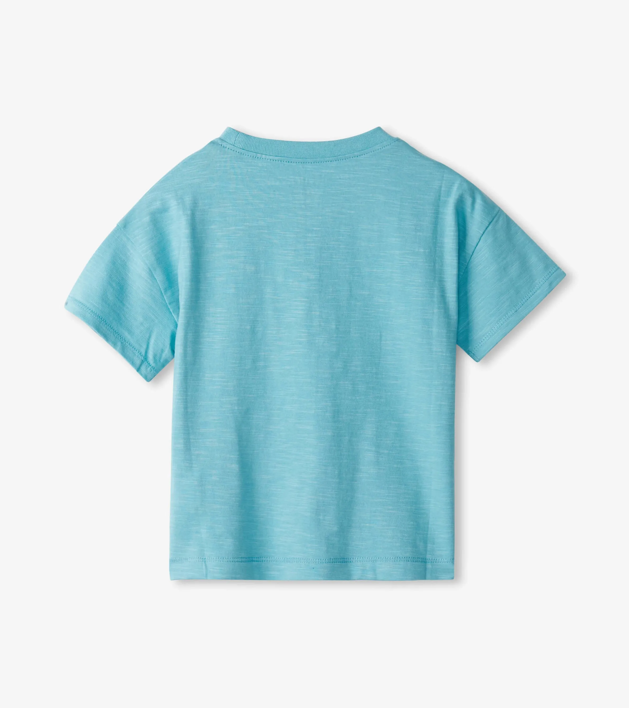 Baby & Toddler Boys Canoe Do It Graphic Tee -Hatley
