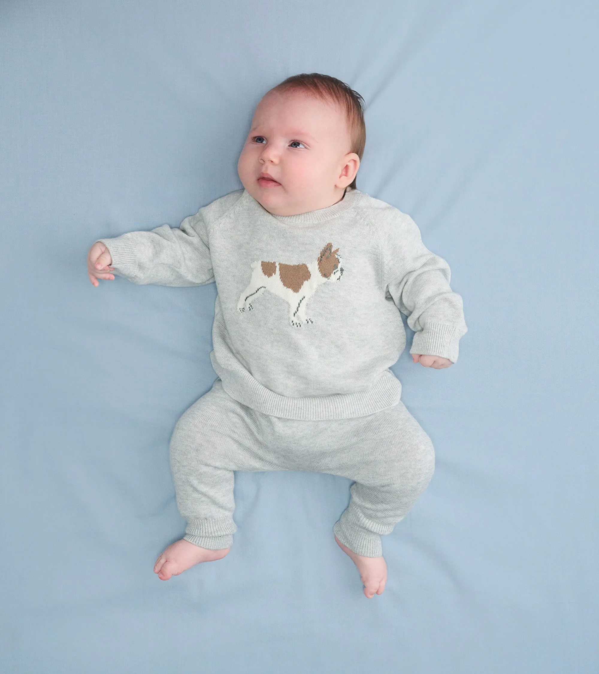 Baby Boys Little Bulldog Pullover Sweater & Pants -Hatley