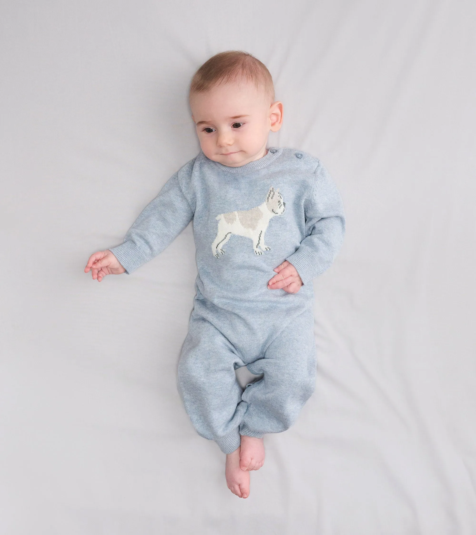Baby Boys Little Bulldog Sweater Romper -Hatley