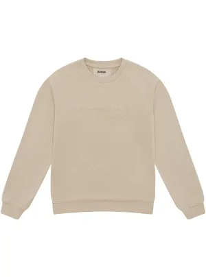 Beige Long Sleeve Active Jumper Guess
