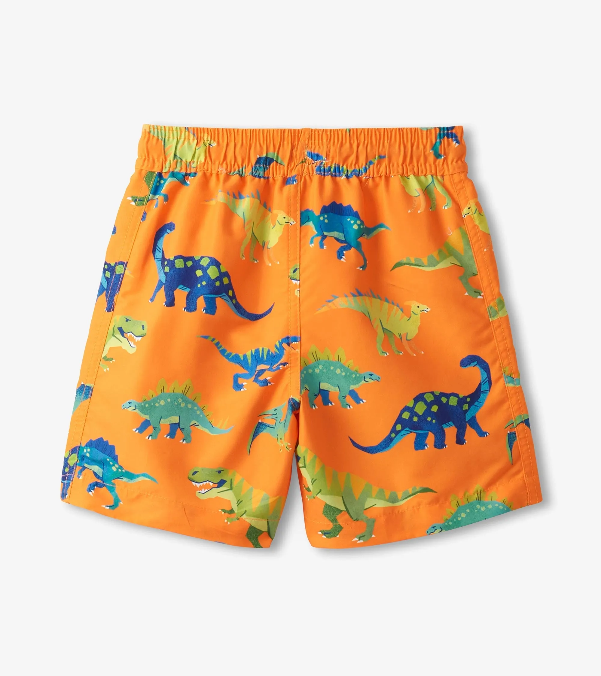 Boys Colourblock Dino Swim Shorts -Hatley