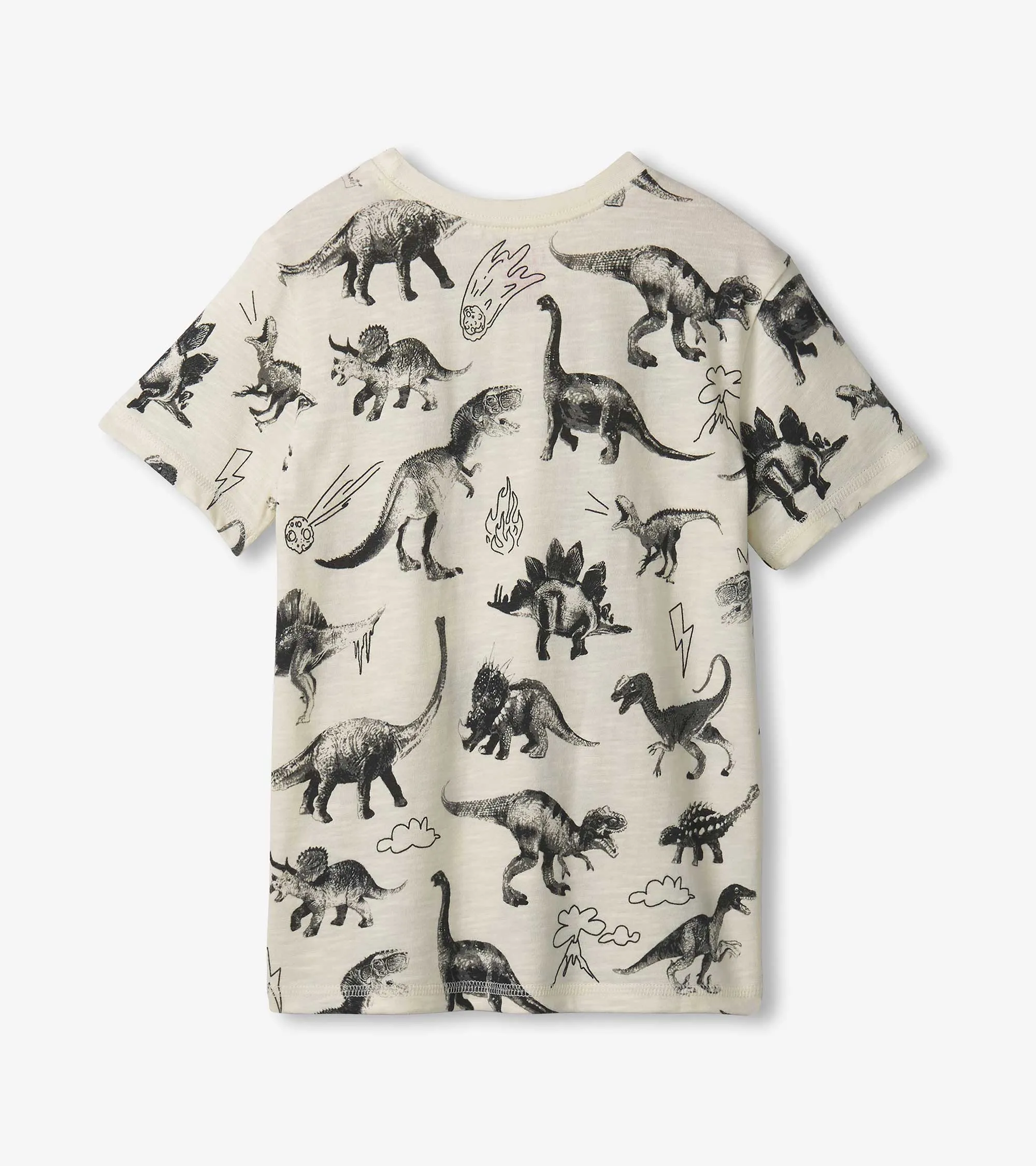 Boys Dino Extinction Graphic Tee -Hatley