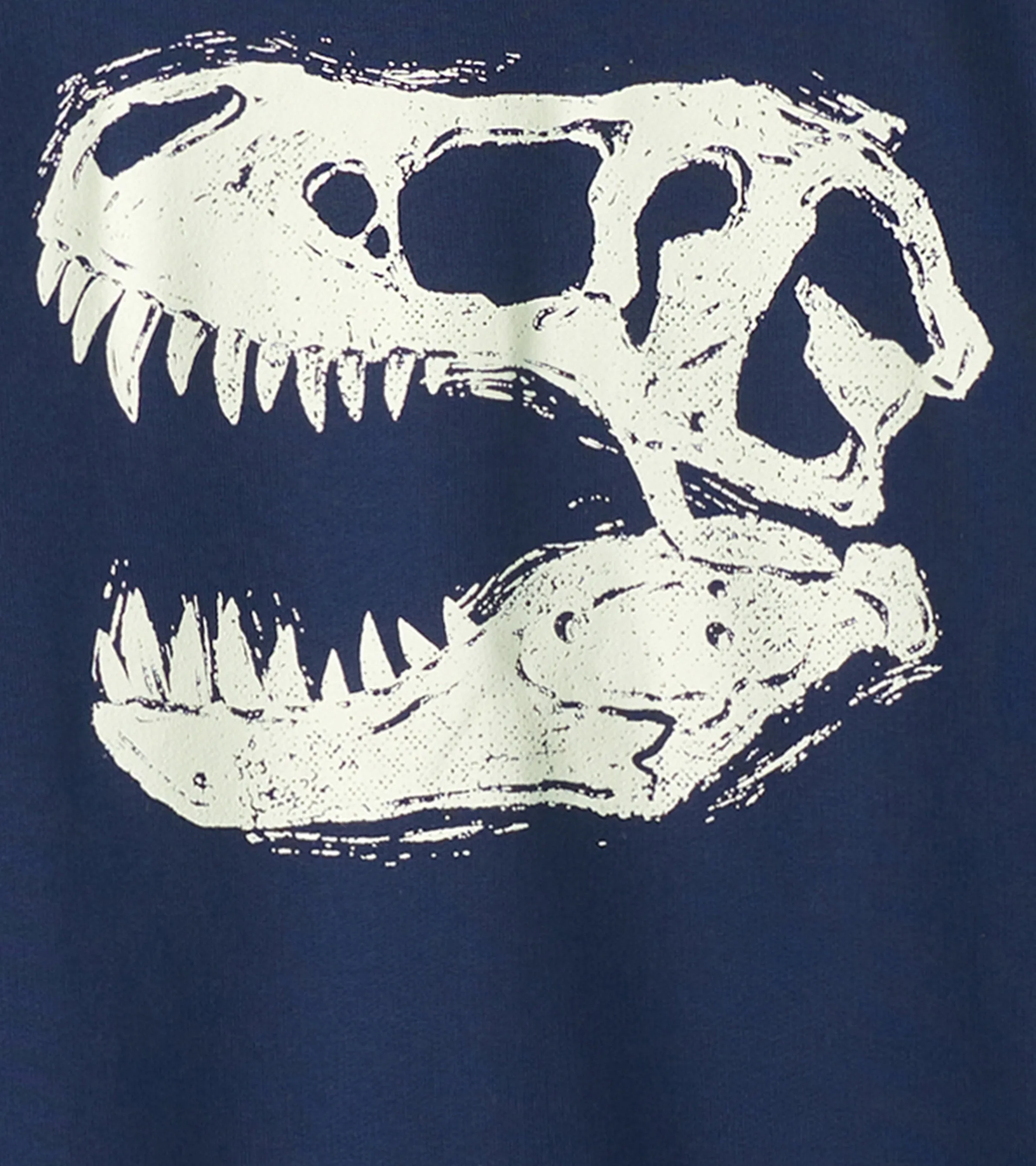 Boys Dino Glow Pullover Sweatshirt -Hatley