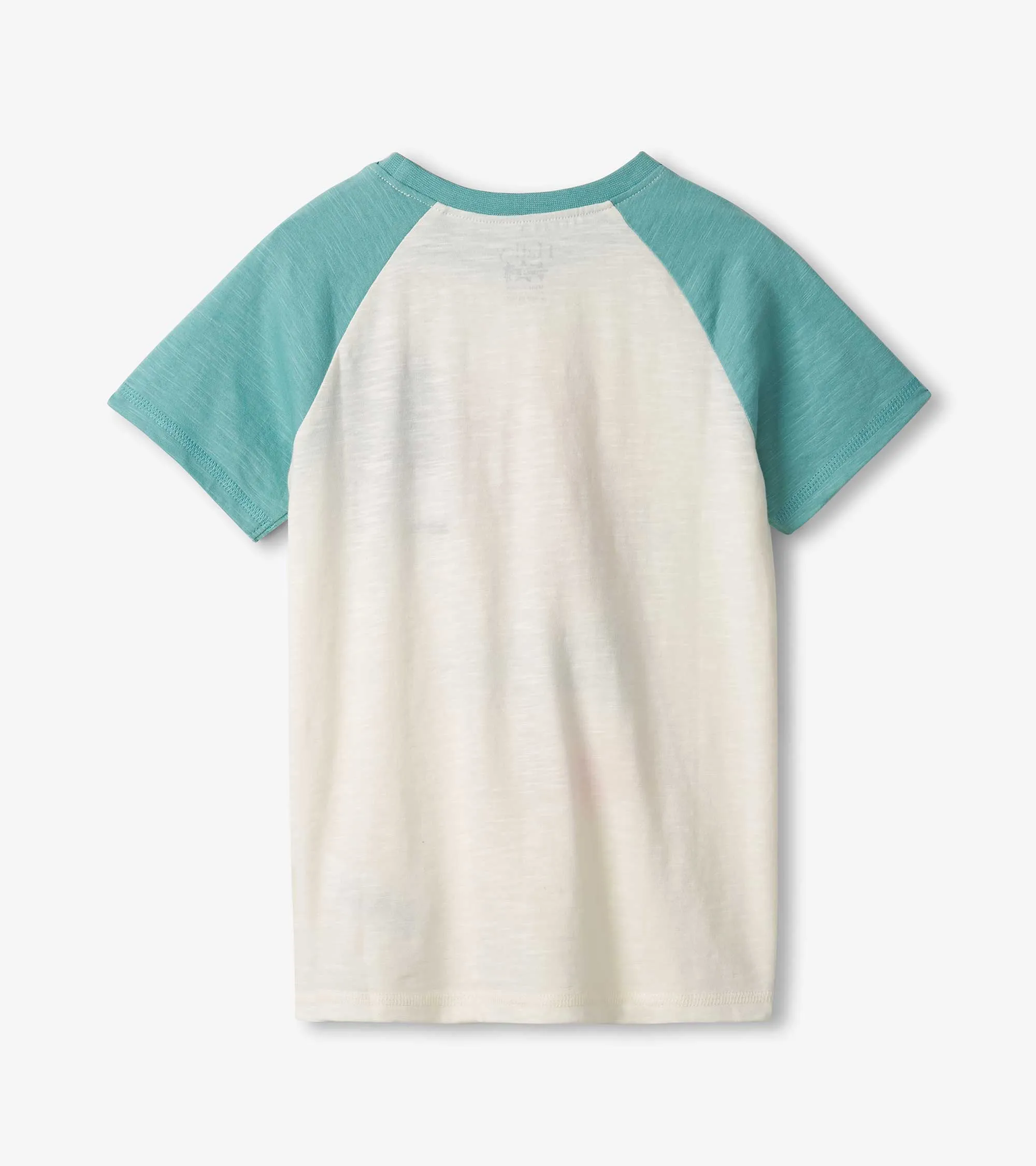 Boys Fish & Chips Raglan T-Shirt -Hatley