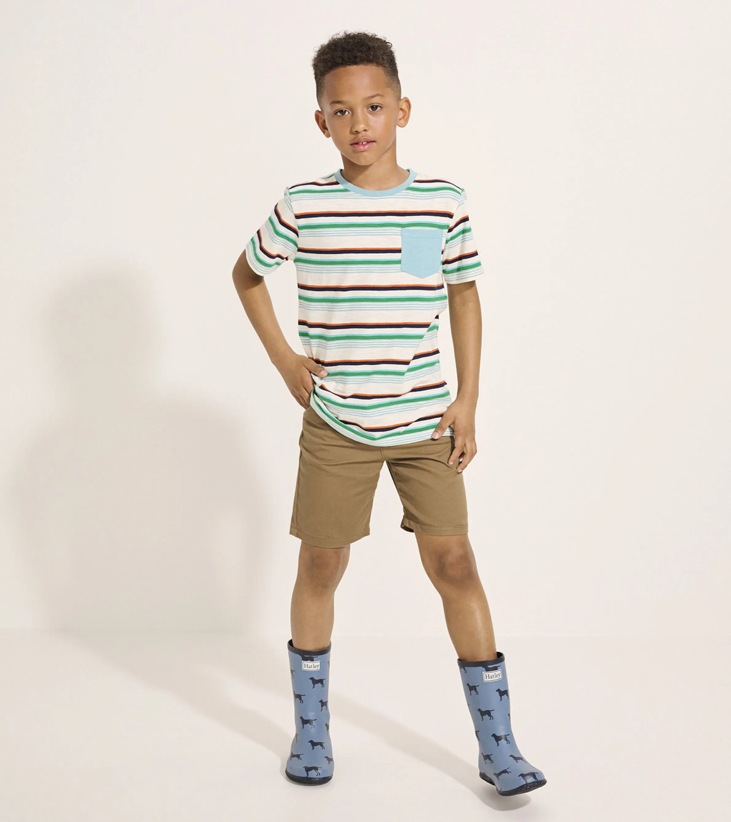 Boys Hiking Stripes Pocket Tee -Hatley
