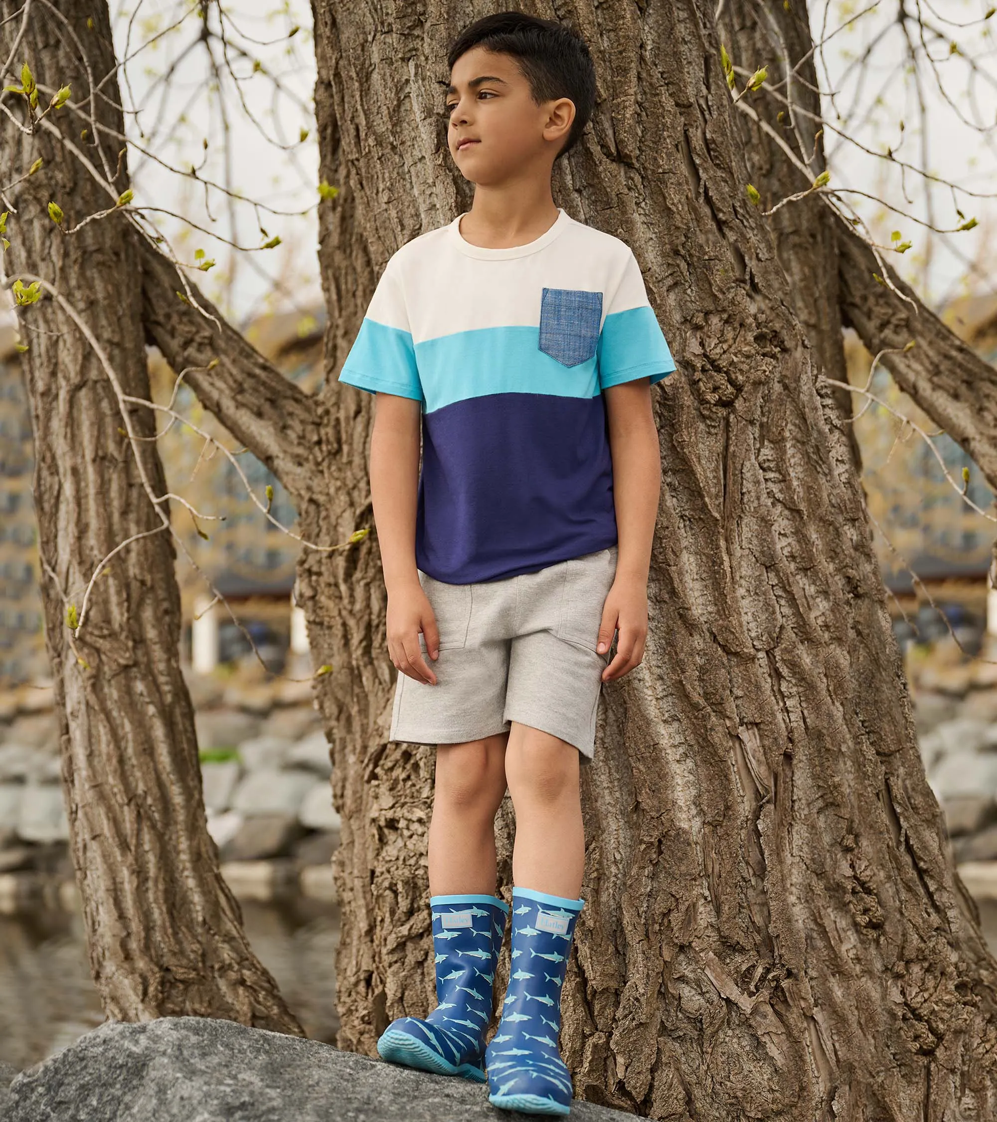 Boys Patriot Blue Colour Block Bamboo T-Shirt -Hatley