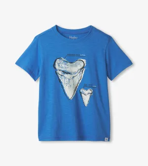 Boys Shark Tooth Graphic Tee -Hatley