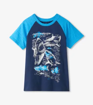 Boys Sharks Raglan T-Shirt -Hatley