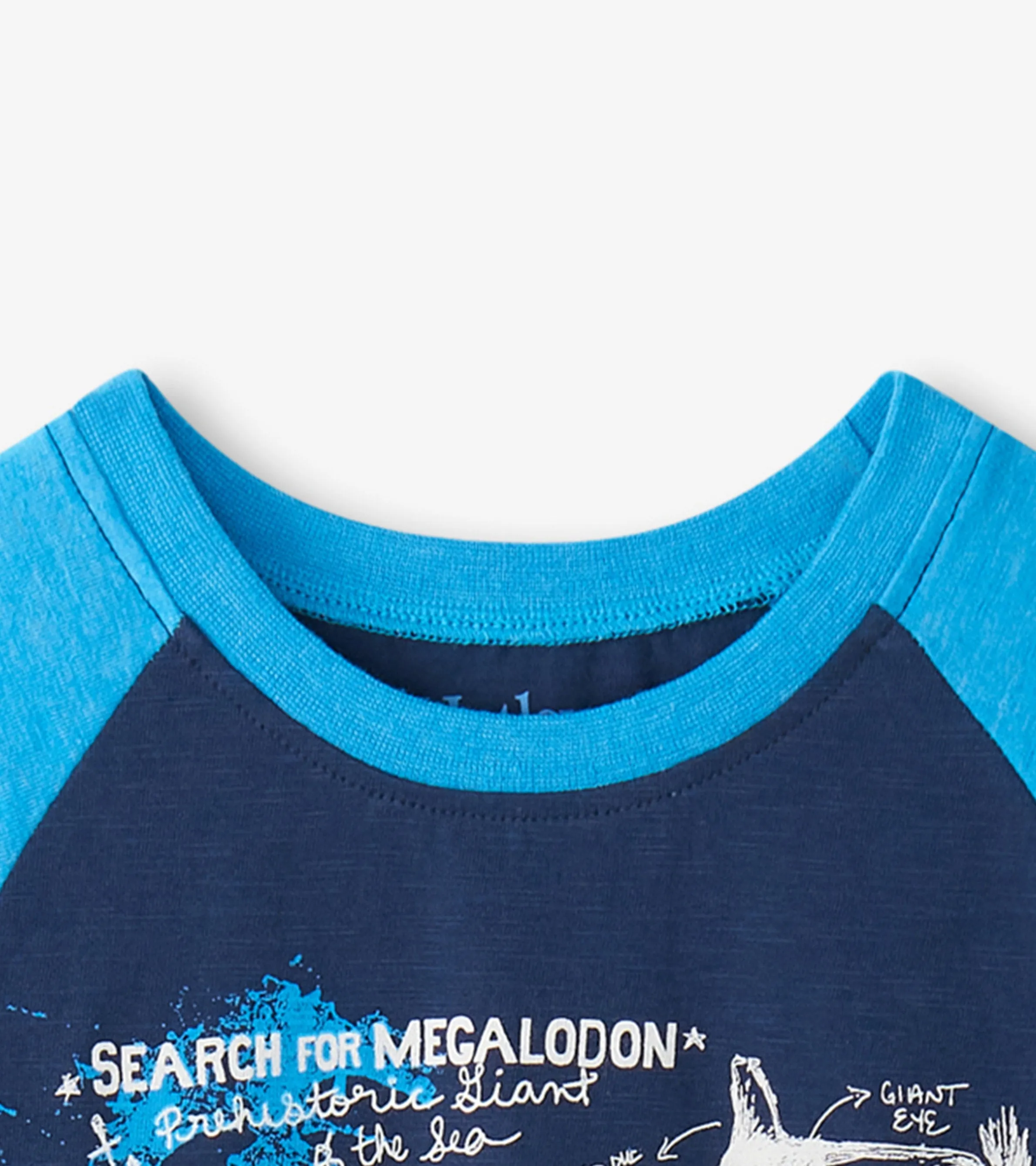 Boys Sharks Raglan T-Shirt -Hatley