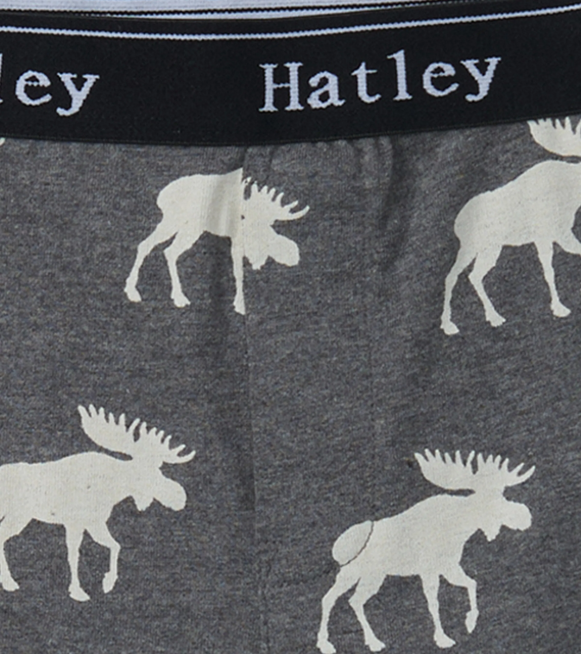 Boys Silhouette Animals 3 Pack Boxer Briefs -Hatley