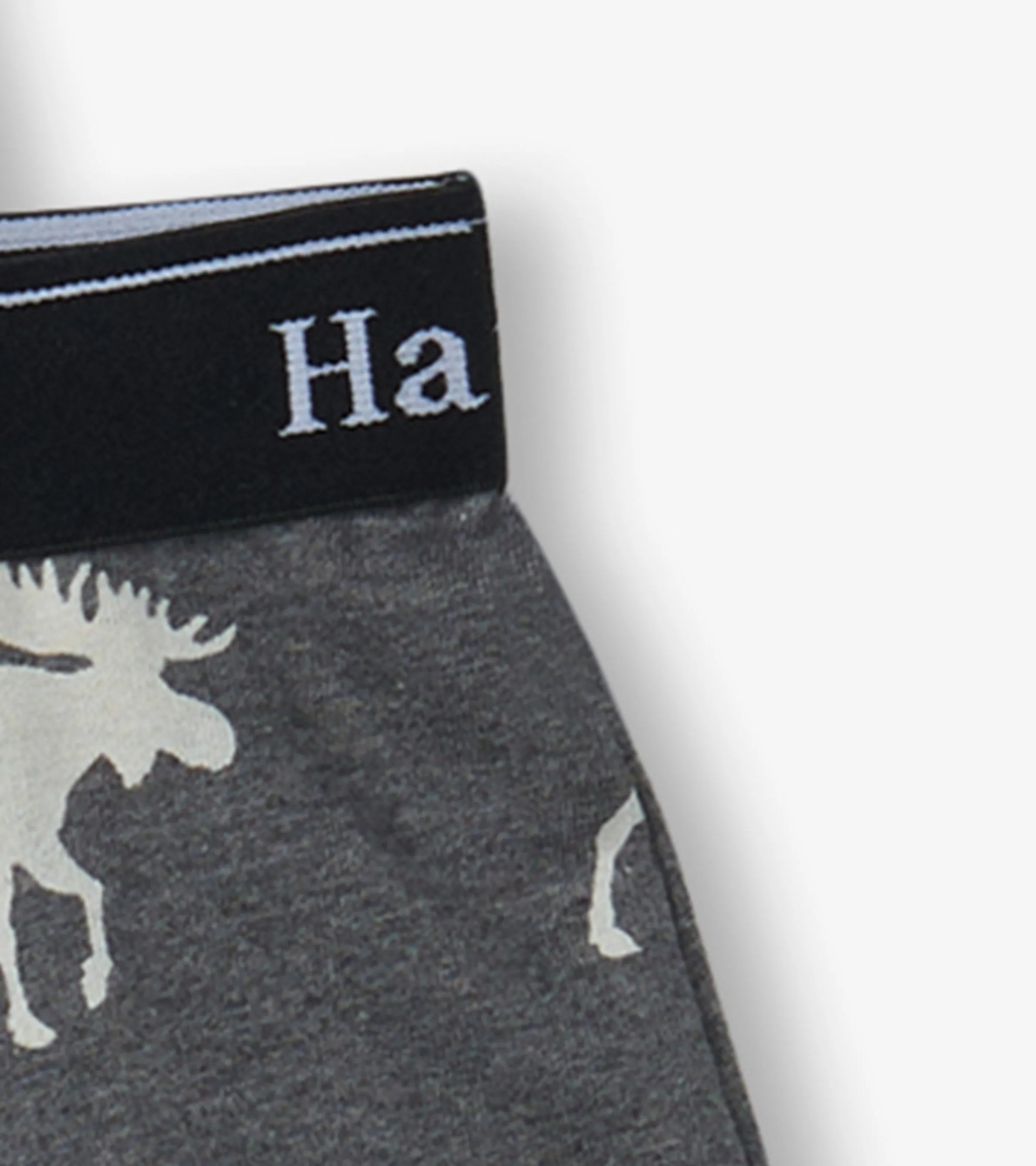 Boys Silhouette Animals 3 Pack Boxer Briefs -Hatley