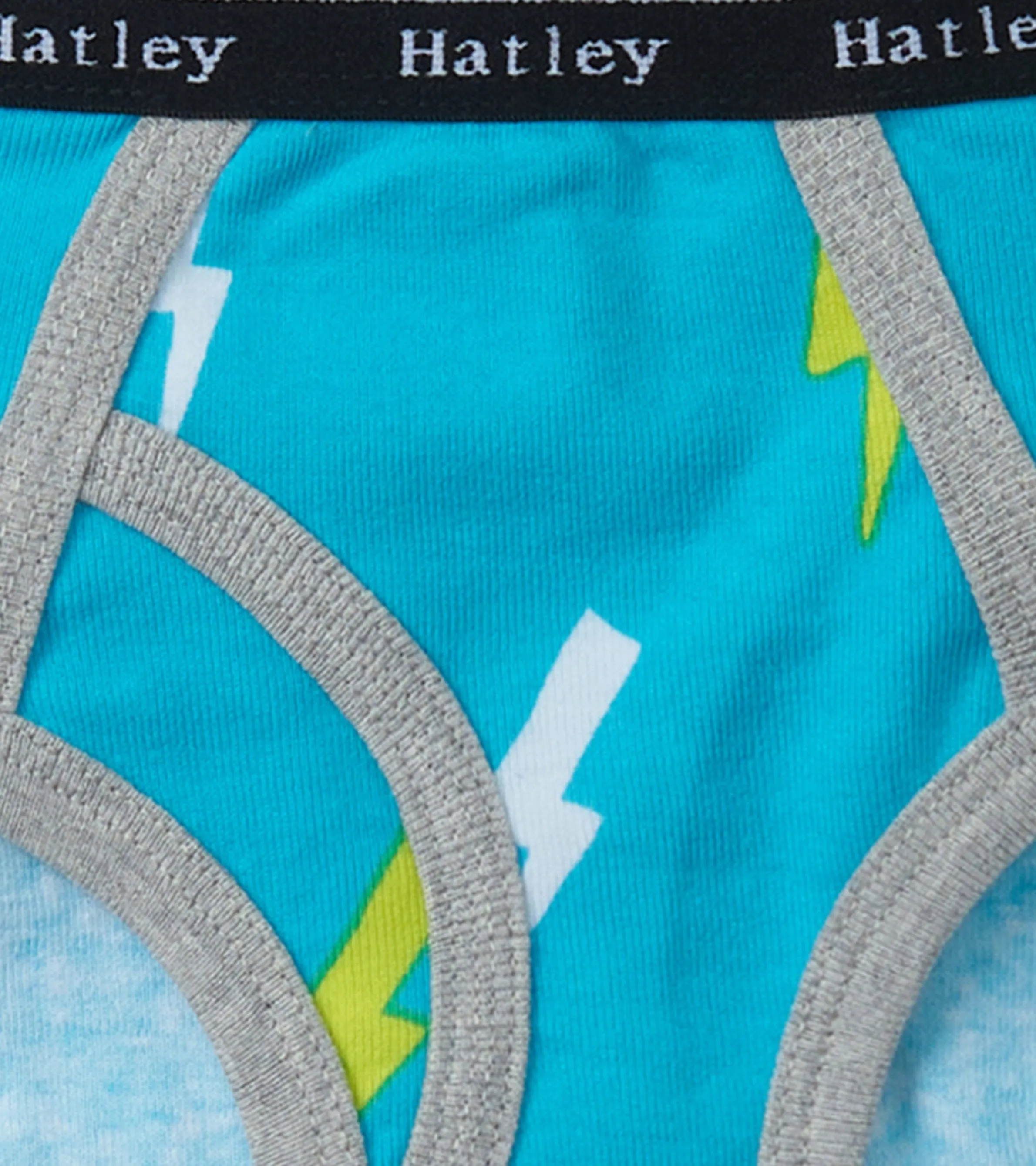 Boys Silhouette Nature 3 Pack Classic Briefs -Hatley