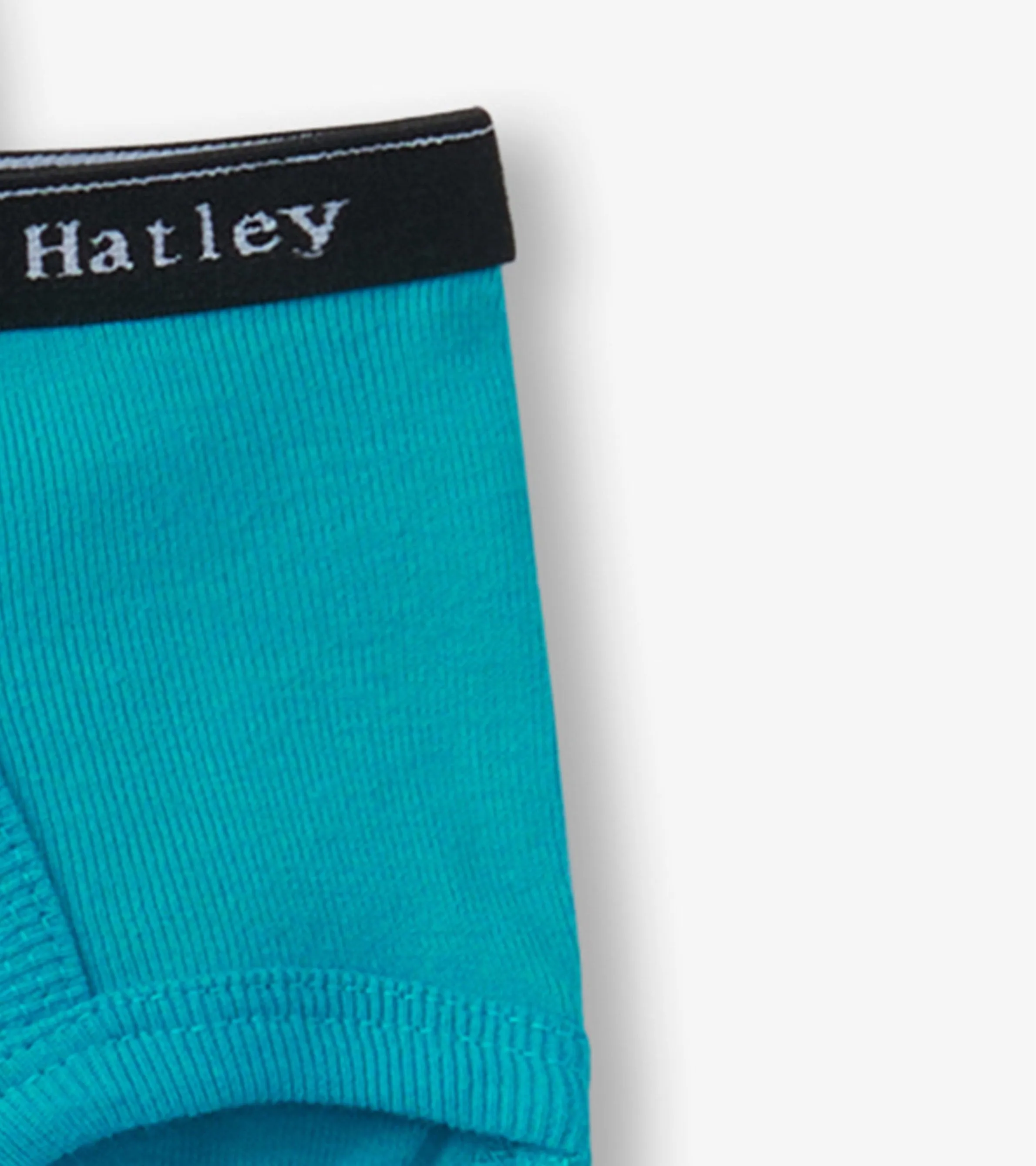 Boys Solid 3 Pack Classic Briefs -Hatley