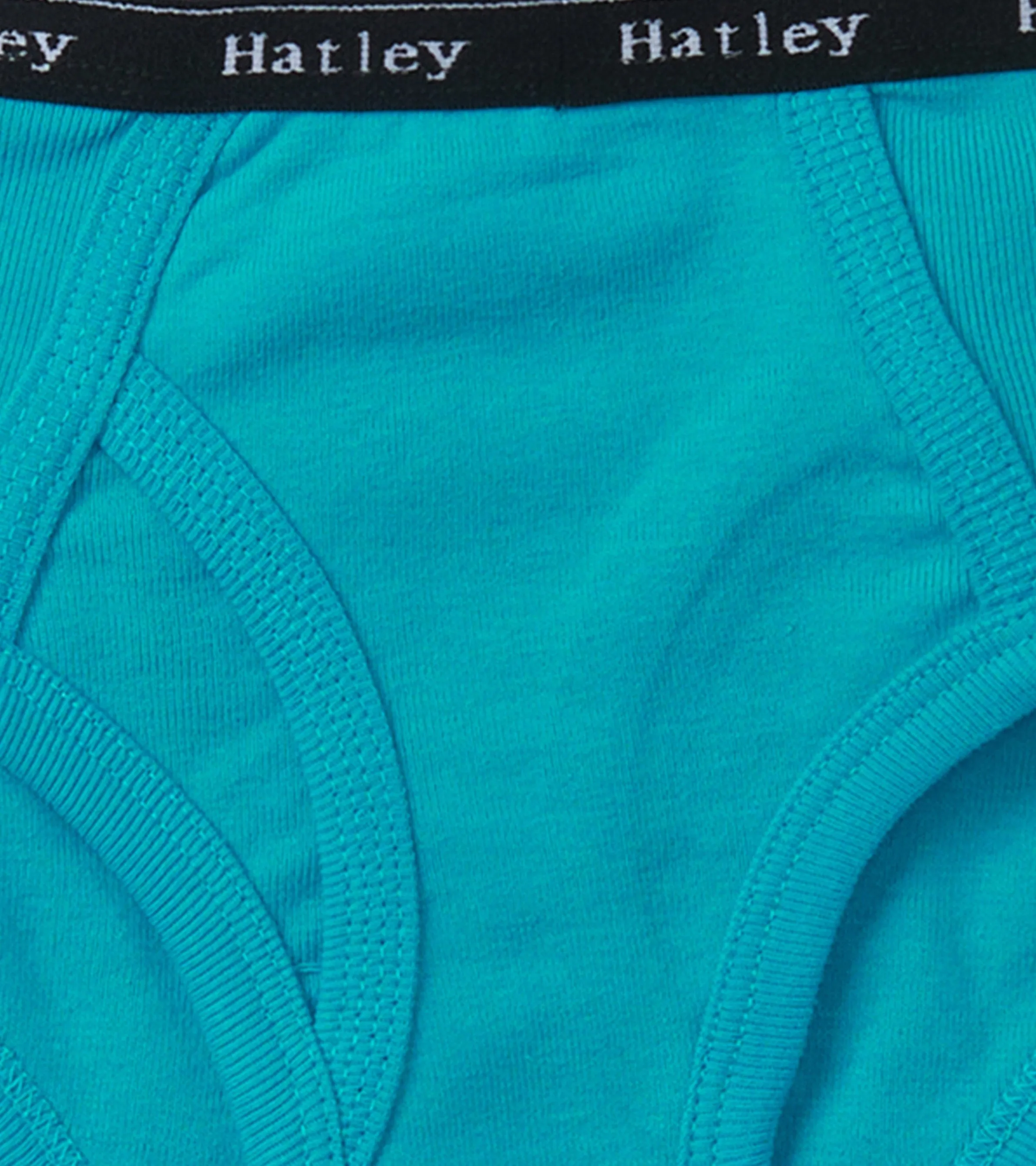 Boys Solid 3 Pack Classic Briefs -Hatley