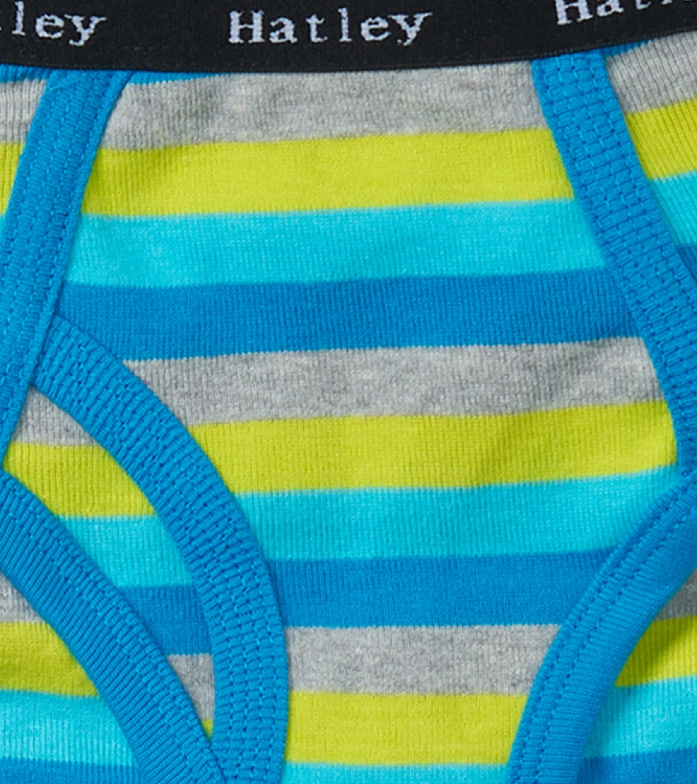 Boys Stripes 3 Pack Classic Briefs -Hatley