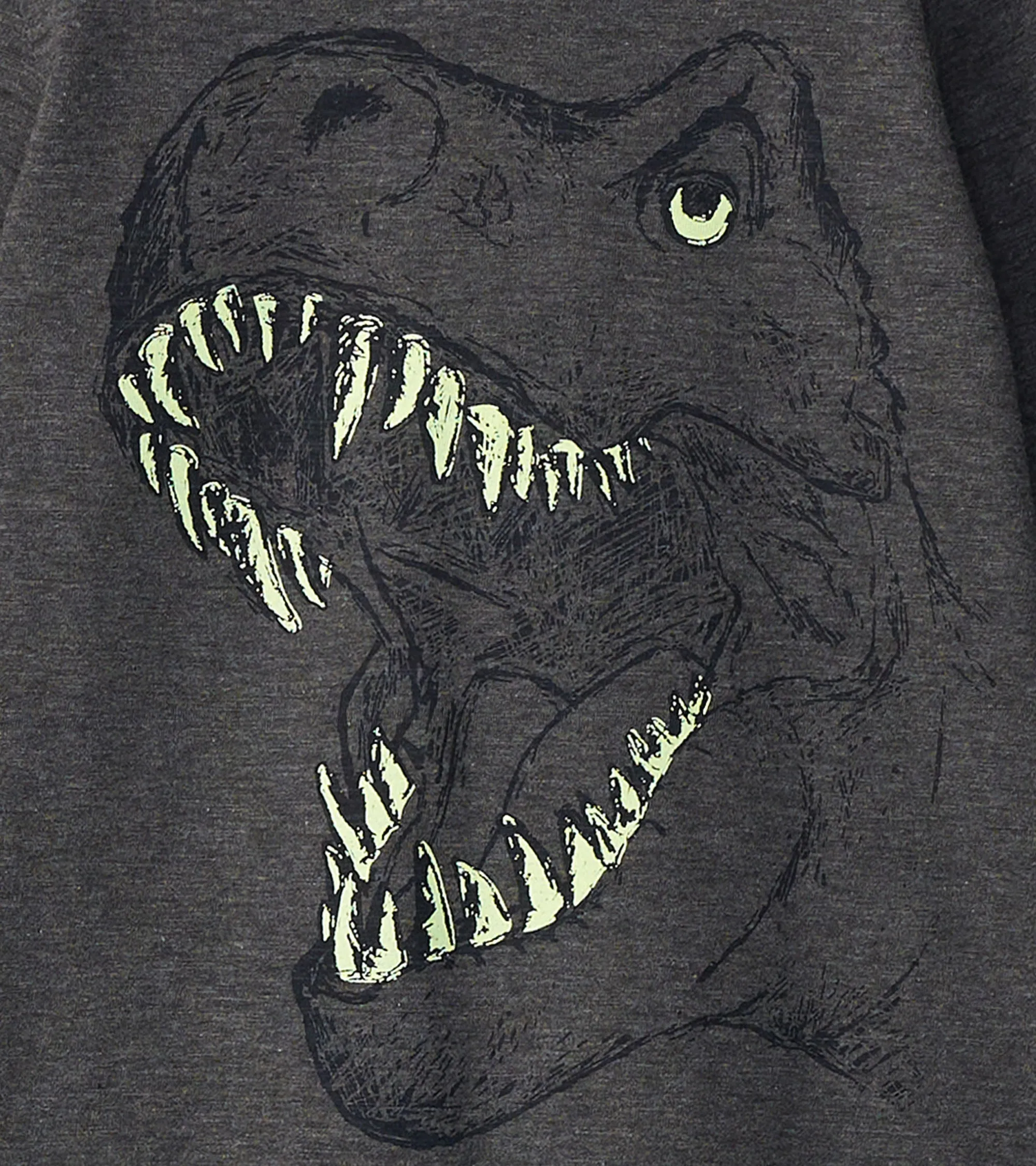 Boys T-Rex Glow in the Dark Long Sleeve T-Shirt -Hatley