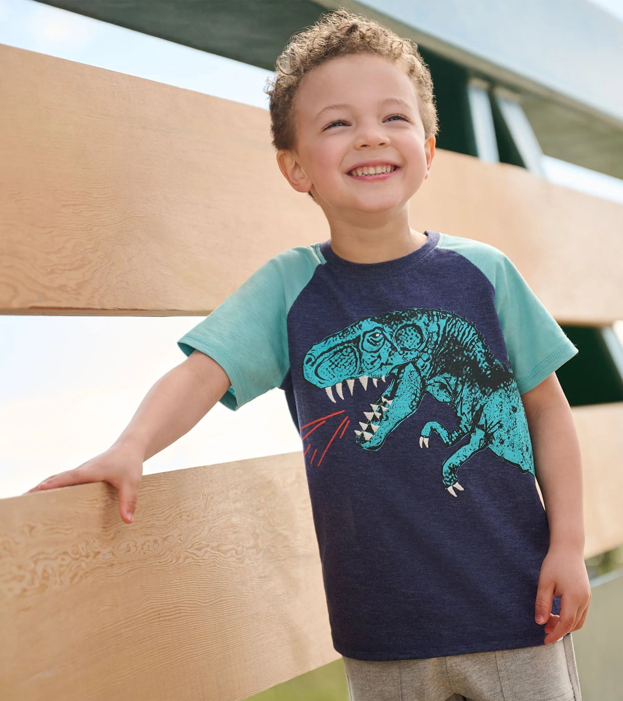 Boys T-Rex Raglan T-Shirt -Hatley