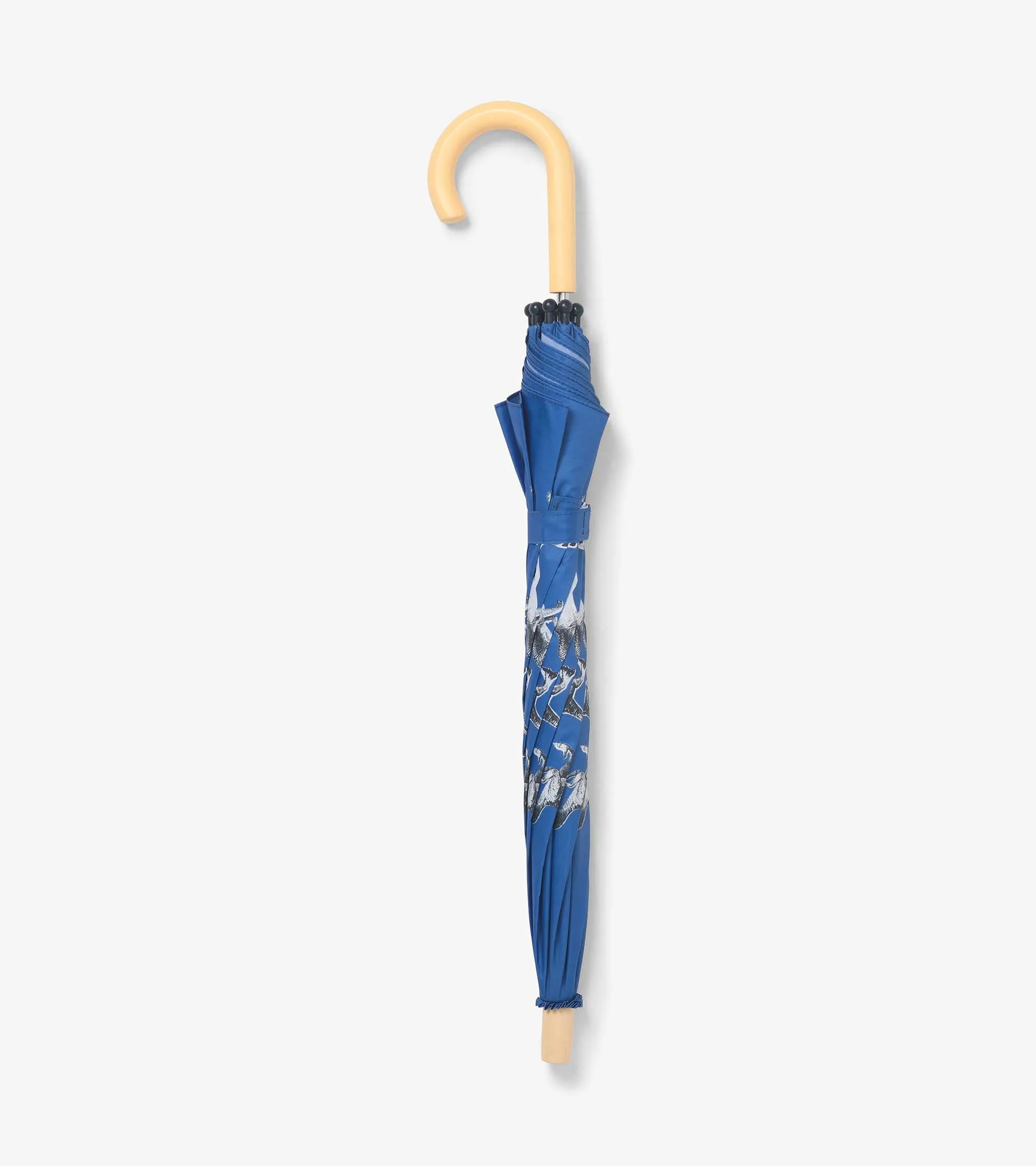Kids Dino Extinction Umbrella -Hatley