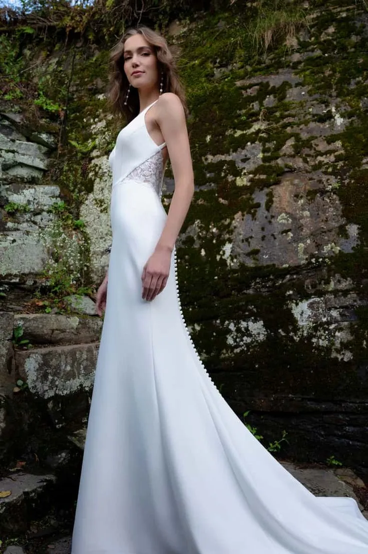 Premium Quality Jenny Yoo Loretta with Applique Gown  Limited Release!