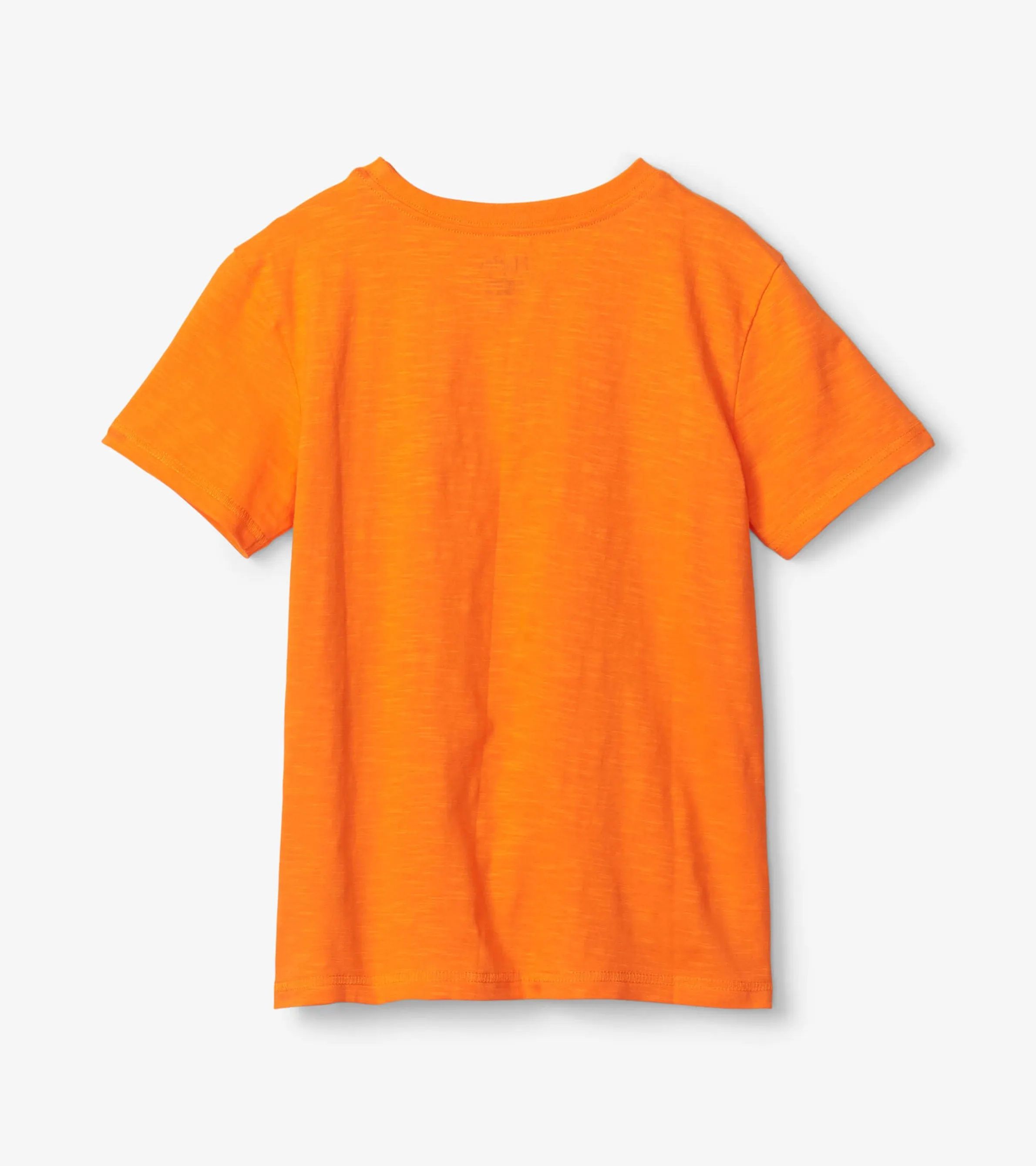 T-Rex Glow In The Dark Graphic Tee -Hatley