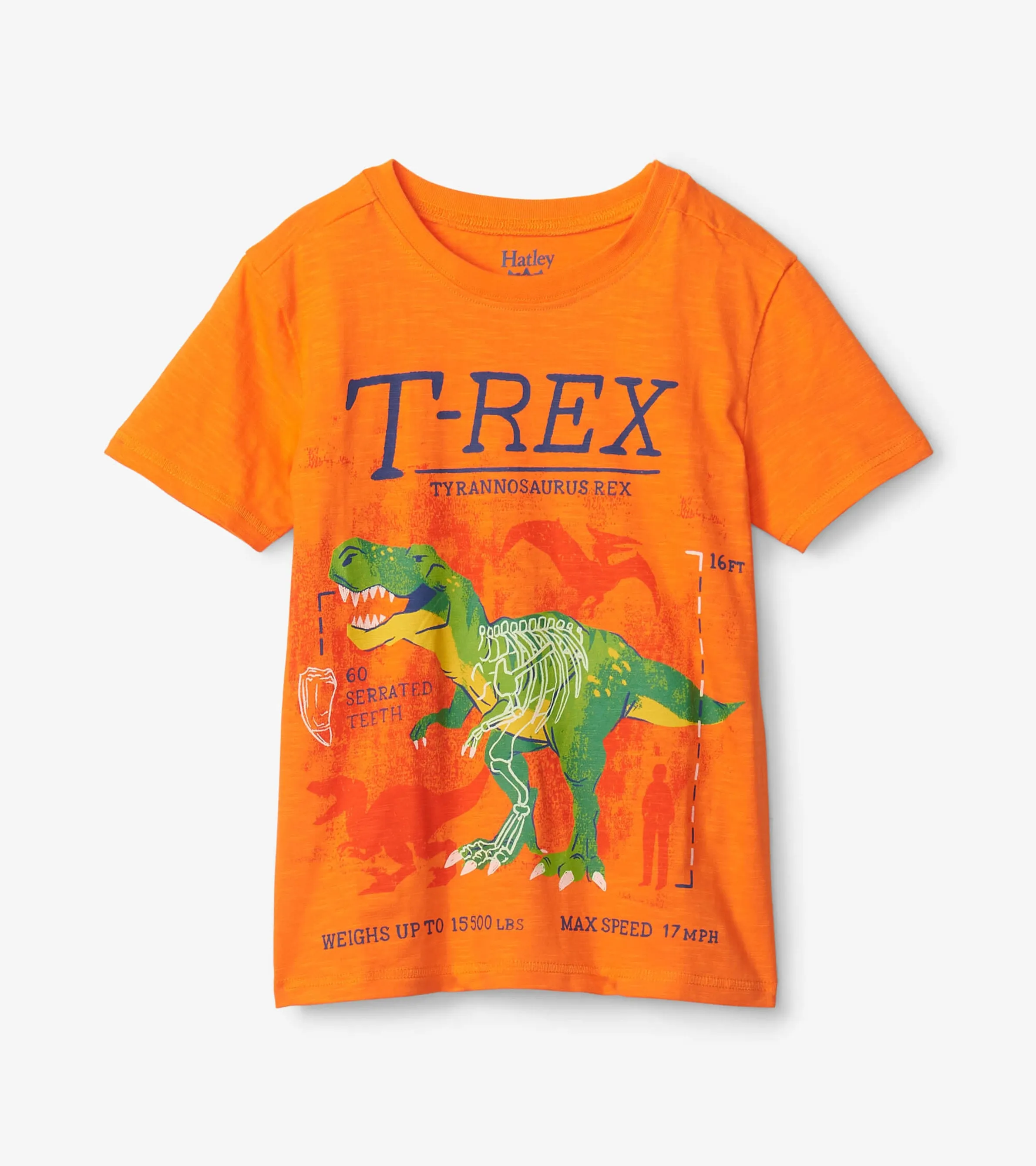 T-Rex Glow In The Dark Graphic Tee -Hatley