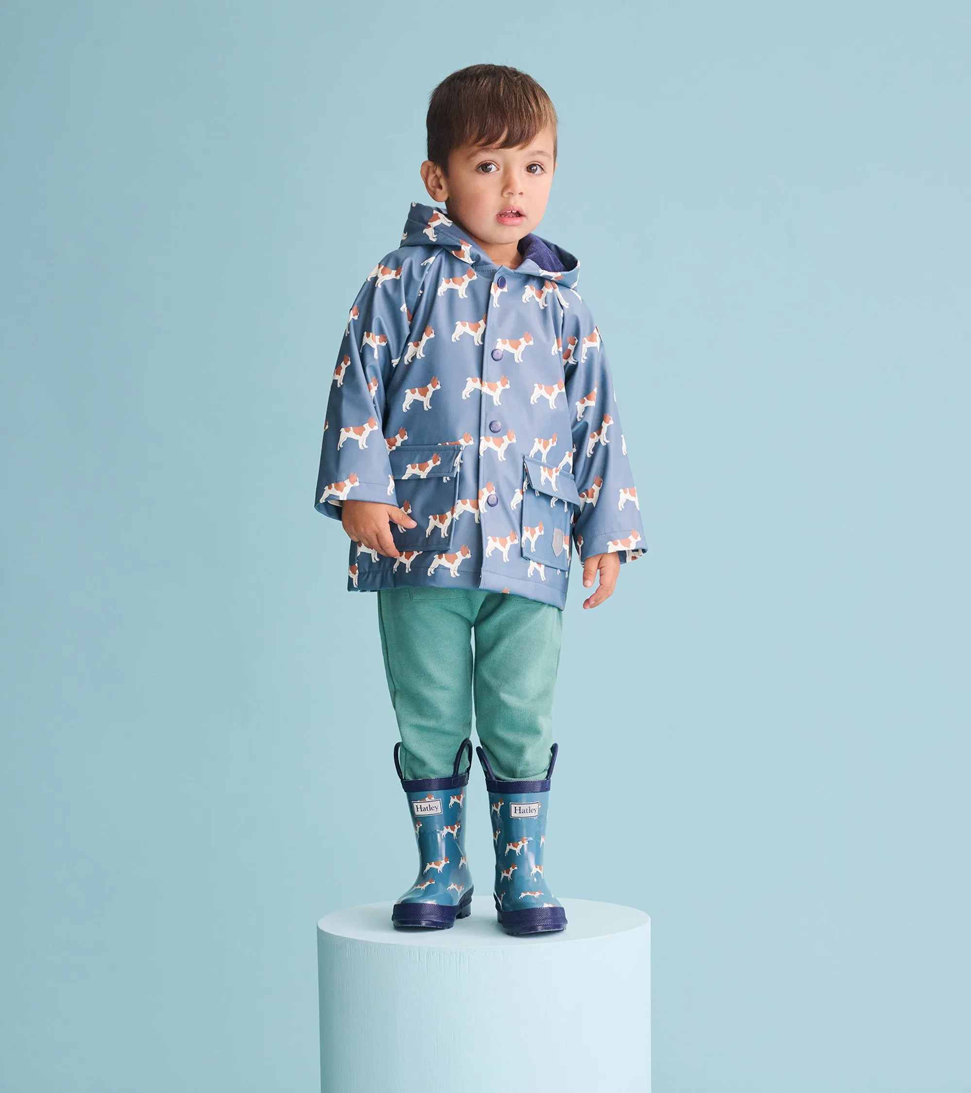 Toddler Boys French Bulldogs Rain Boots -Hatley